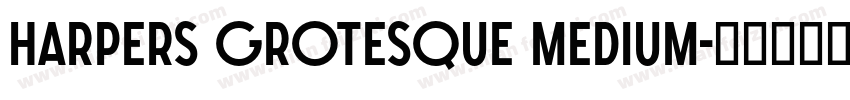 Harpers Grotesque Medium字体转换